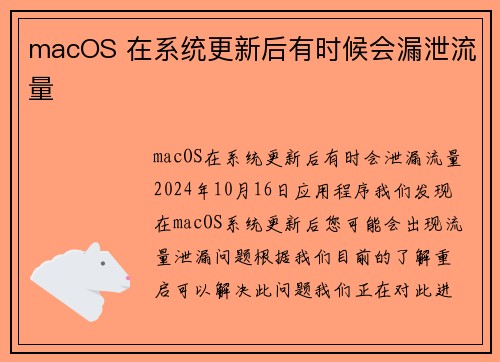 macOS 在系统更新后有时候会漏泄流量 