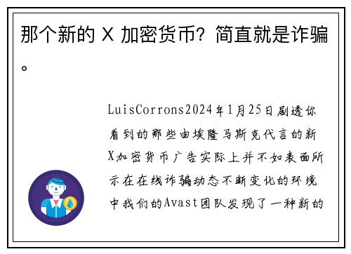 那个新的 X 加密货币？简直就是诈骗。