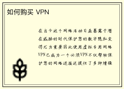 如何购买 VPN 