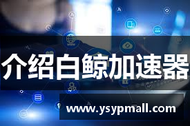 白鲸加速器